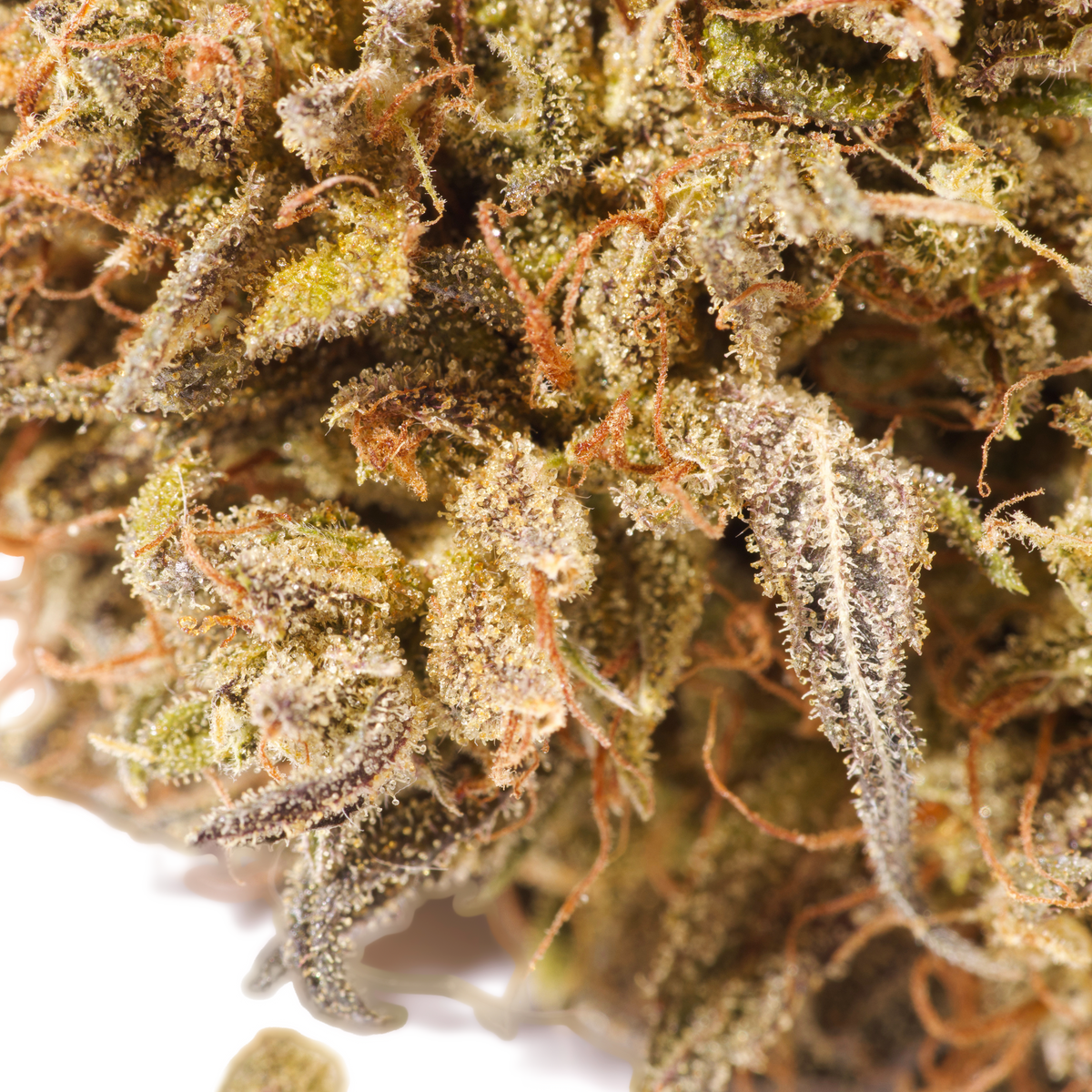 RHINO WRECK (INDICA DOMINANT)